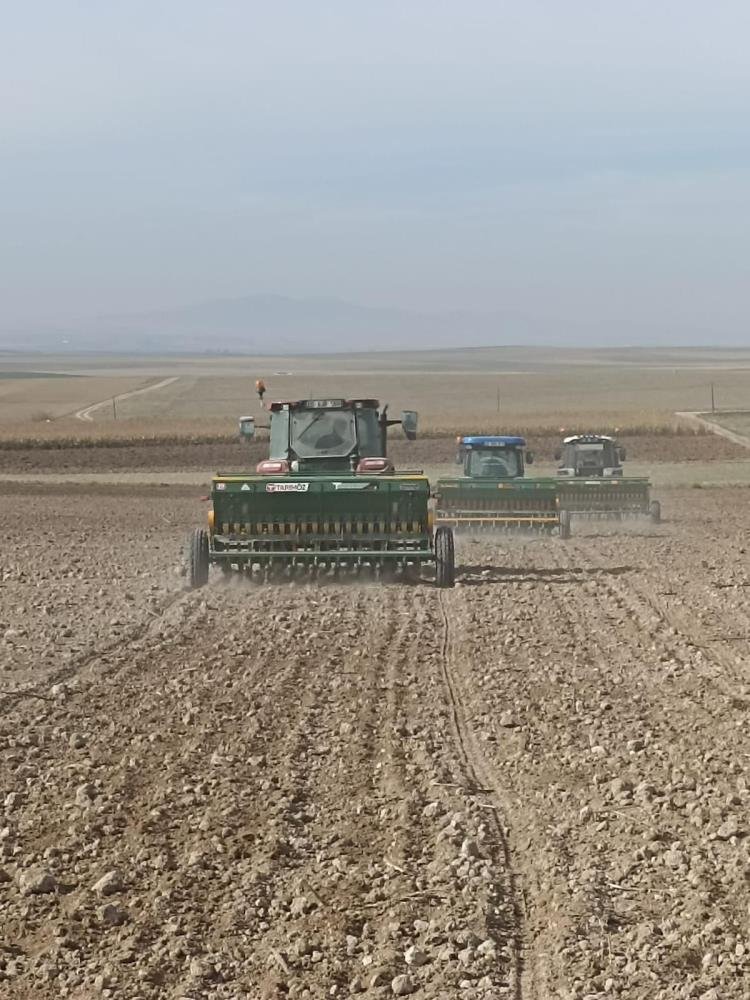 beylikova belediyesi