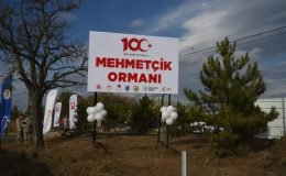 Eskişehir’de 2023 Yılında 1 Milyon 264 bin Fidan Diktiler