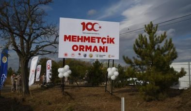 Eskişehir’de 2023 Yılında 1 Milyon 264 bin Fidan Diktiler
