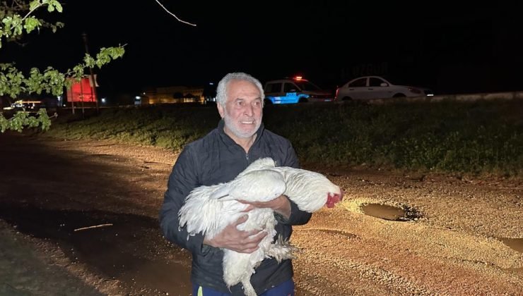 Tekstil atığı deposundaki yangından kurtardığı tavuğuna böyle sarıldı