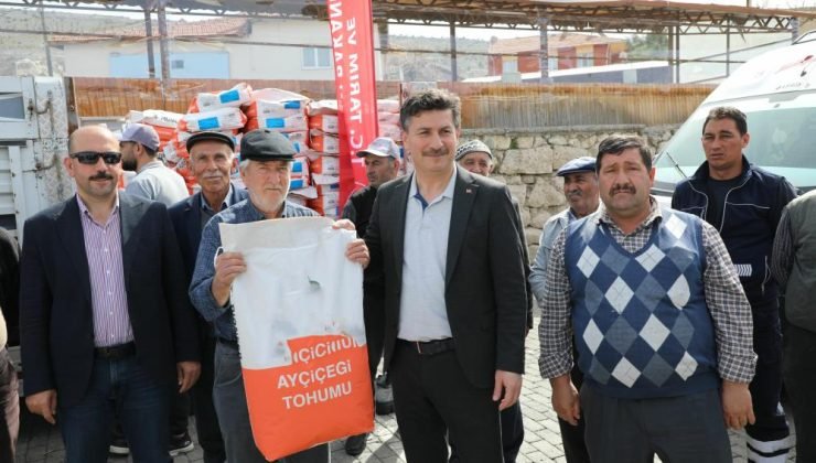 Seyitgazi’de ayçiçeği üretimi artıyor