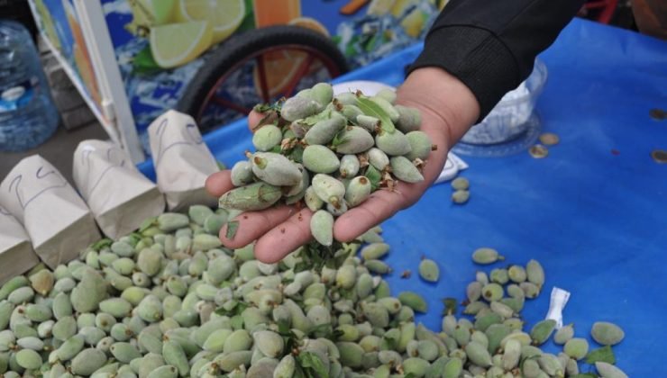 Eskişehir’de badem kilosu 200 liradan tezgahlarda