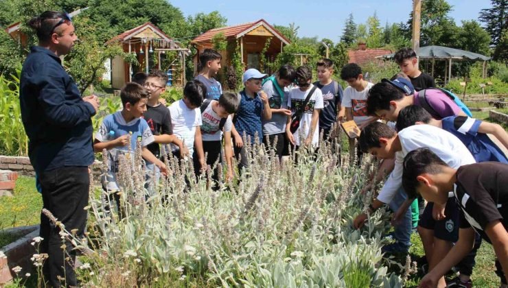 8 bin öğrenci çevre konusunda bilinçlendi