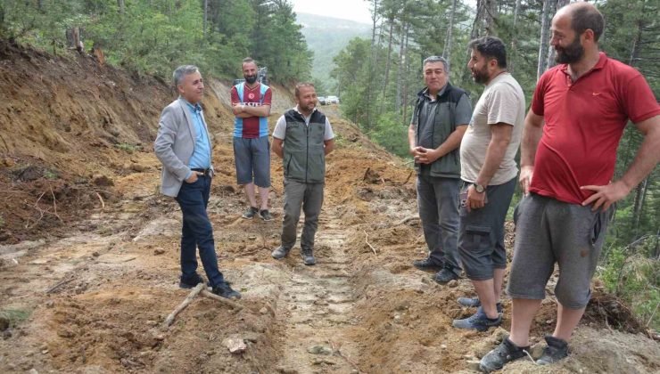 Bölge Müdürü Erdal Dingil, Emet ve Hisarcık’ta incelemelerde bulundu