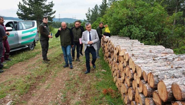 Bölge Müdürü Erdal Dingil, Tavşanlı ve Simav’da incelemelerde bulundu