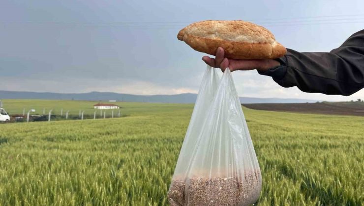 Çiftçinin 1 kilogram buğdayı 1 ekmek etmiyor