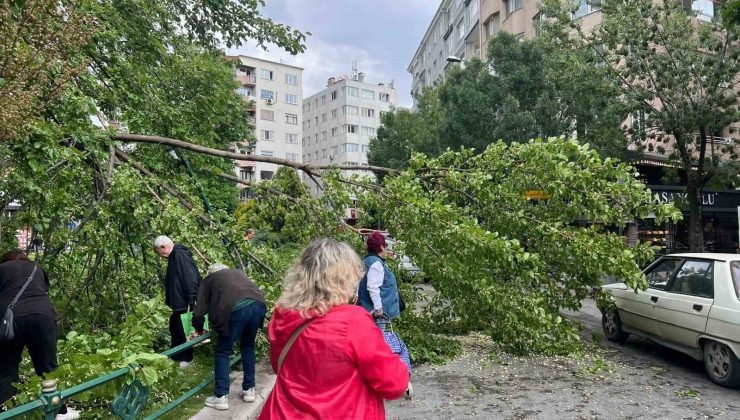 Devrilen ağaç yolu kapattı