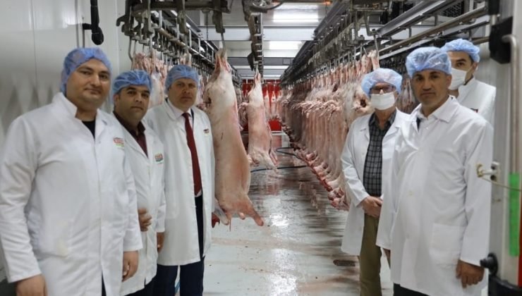 Kurban bayramı öncesi mezbahalar denetleniyor