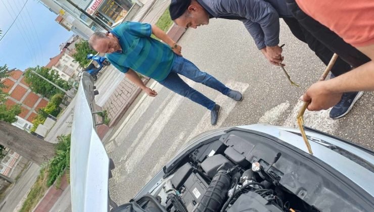 Otomobilin motor kısmına giden yavru kedi kurtarıldı