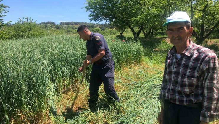 Tarlasında çalışmaktan yorgun düşen çiftçiye jandarma yardım etti