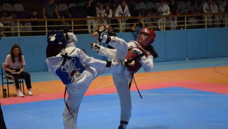 Yıldızlar Tekvando Müsabakaları tamamlandı