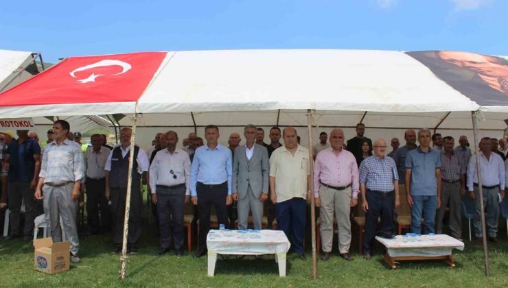 20. Oğulpaşa Köyü Karakucak Güreşleri ve Yayla Şenlikleri yapıldı