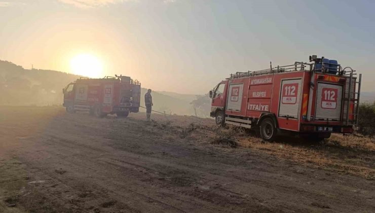 Afyonkarahisar’da çıkan orman yangını 1 saatin sonunda söndürüldü