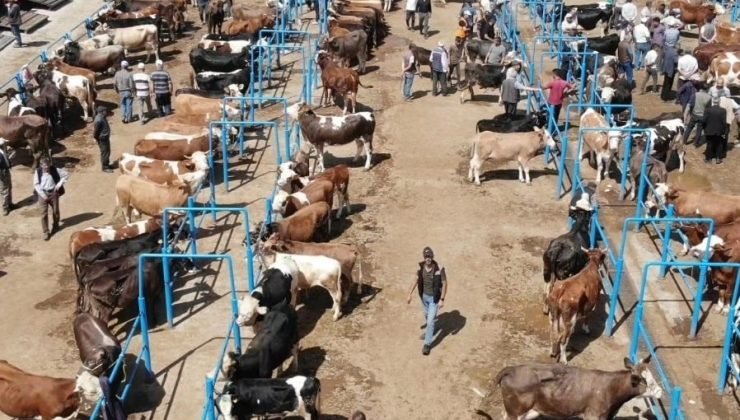 Afyonkarahisar’da ki hayvan pazarlarında kurbanlık denetimleri sürüyor