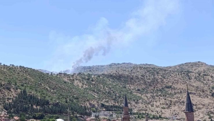 Afyonkarahisar’da ormanlık alanda yangın