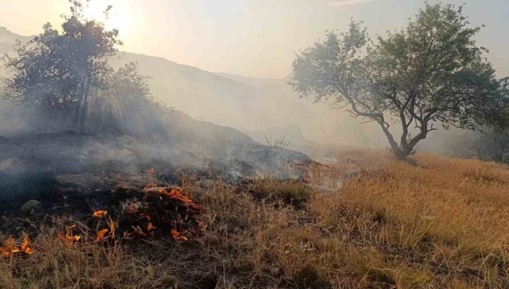 Afyonkarahisar’ın Hıdırlı Tepesi mevkiindeki ormanlık alanda yangın çıktı. İtfaiye ekiplerinri yangına yoğun müdahalesi sürüyor.