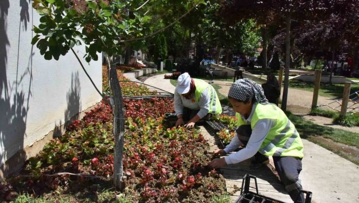 Belediye hem kendisi ekiyor hem de kendisi süslüyor