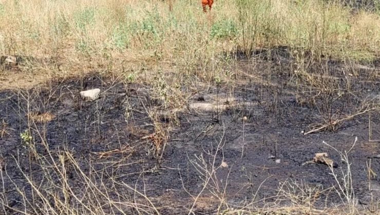 Bilecik’te elektrik tellerine çarpan kuş sürüsü yangına sebep oldu