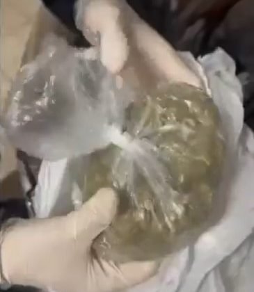 Bilecik’te uyuşturucu operasyonu