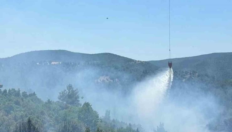 Bilecik’teki orman yangınına hem havadan hem karadan müdahale edildi