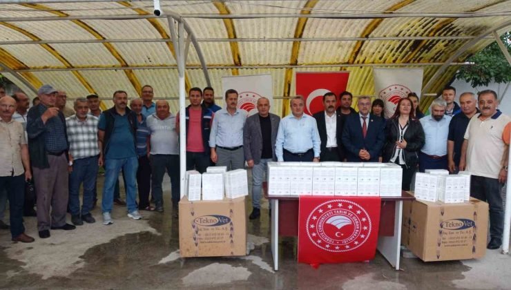 Bozüyük’te arı üreticilerine ilaç dağıtımı yapıldı