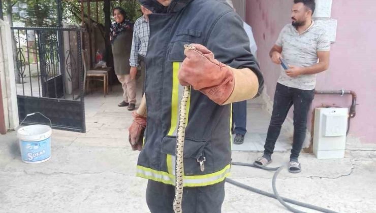 Eve giren yılanı itfaiye ekipleri yakaladı