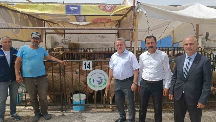 Kaymakam Öztürk hayvan pazarında incelemelerde bulundu