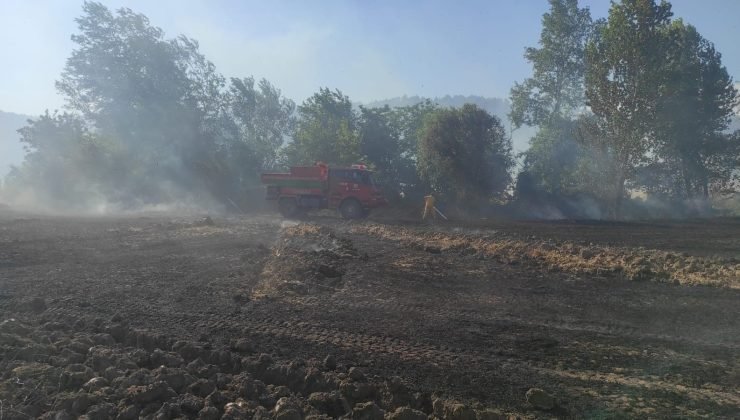 Osmaneli’de 20 dönümlük buğday tarlası yangında kül oldu