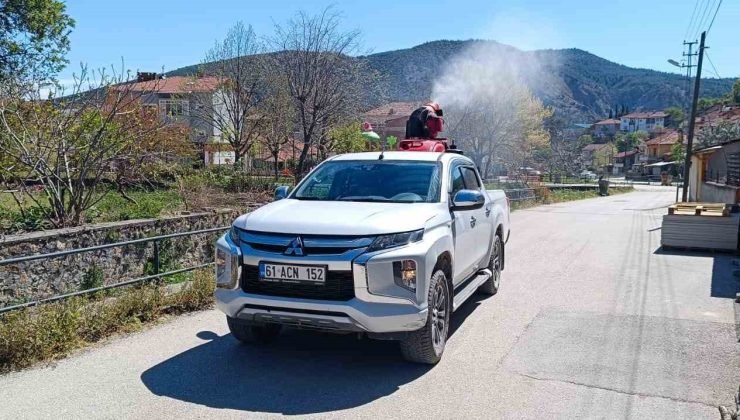 Sağlıklı bir yaz için ilaçlama çalışmaları devam ediyor