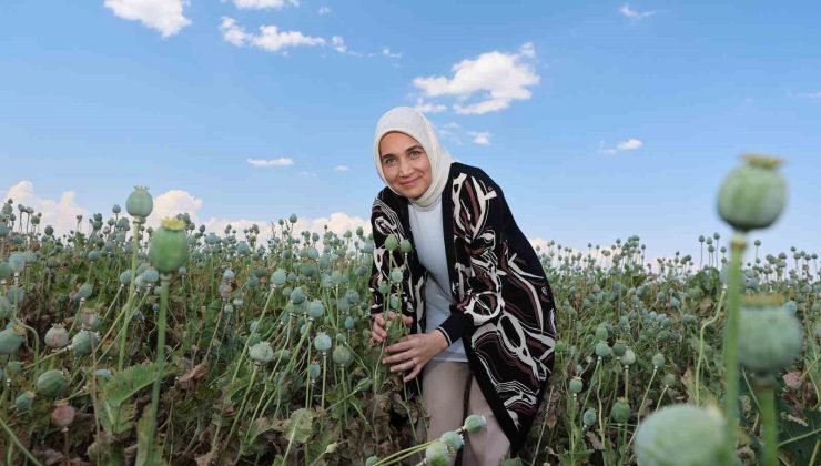 Vali kentin simgesi ‘haşhaş’ ile poz verdi