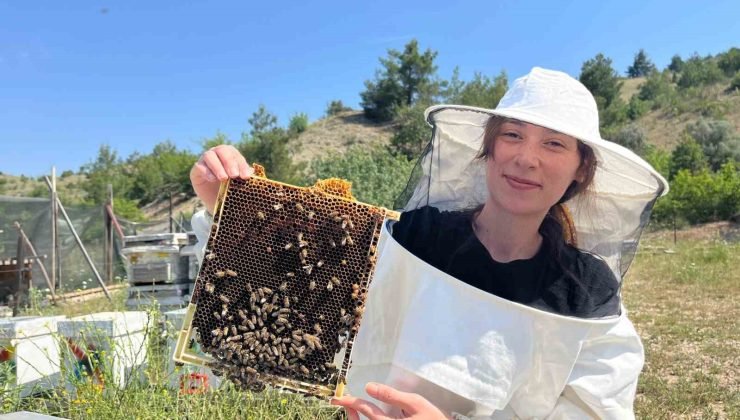 Yurtdışını ardında bırakıp Eskişehir’in dağlarında bal üretmeye başladı