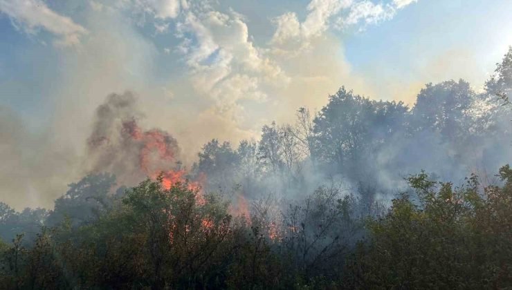 Afyonkarahisar’da dağlık alanda çıkan yangın söndürüldü