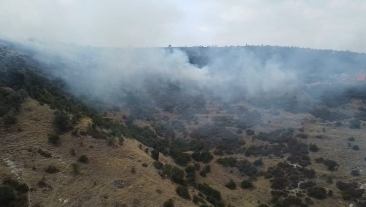 Afyonkarahisar’da ot ve çalıların bulunduğu dağlık alanda yangın çıktı