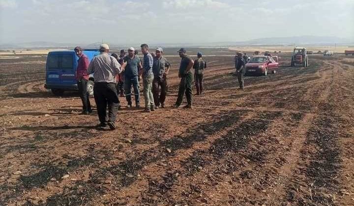 Altıntaş’ta çıkan yangında yaklaşık 3 bin dekar ekili alanda zarar gördü