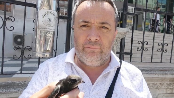 Ayağına ip takılmış ebabil kuşu Doğa ve Milli Parklar yetkililerine teslim edildi