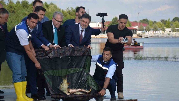 Bakan Yumaklı, Pelitözü Göleti’ne 200 adet sazan balığı salımı gerçekleştirdi