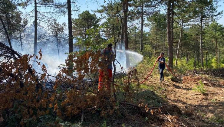 Bilecik’te dün başlayan orman yangınında 4 dekar alan kül oldu