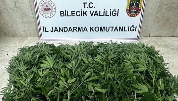 Bilecik’te uyuşturucu operasyonu: 2 şüpheli tutuklandı