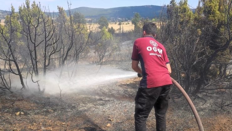 Bozüyük’te çıkan anız yangını ormanlık alana sıçramadan söndürüldü