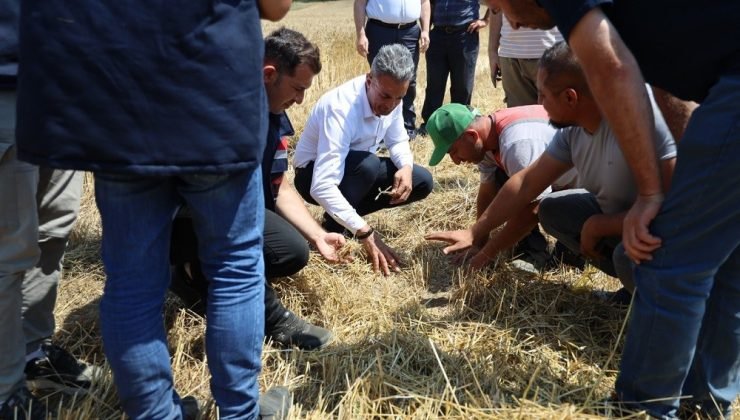 Çiftçilerle biçerdöver hasadına katıldı