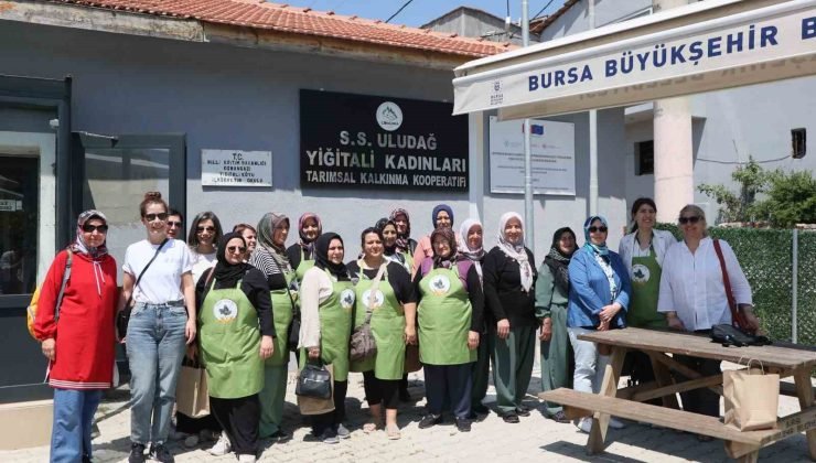 ’Yukarı Sakarya Havzası’nda Arazi Tahribatını Dengeleme Projesi’ devam ediyor