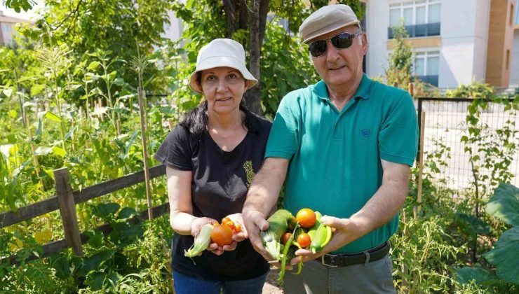 Emekli çifti Gönüllü Bahçesinde 26 çeşit ürün elde etti