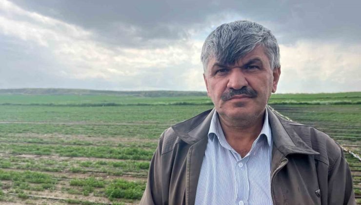 Eskişehir’de etkili olan yağmur ve dolu yağışı