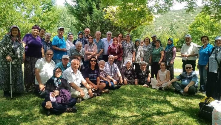 Koca Çınarların piknik keyfi