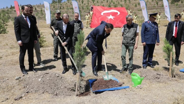 Kütahya’da 15 Temmuz şehitleri anısına fidan dikildi
