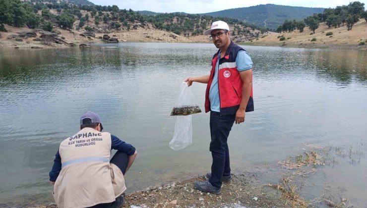 Kütahya’da 5 milyon 423 bin 150 adet balık iç su kaynaklarına bırakıldı
