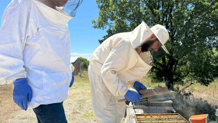 Kütahya’da arıcılığı geliştirme projesi