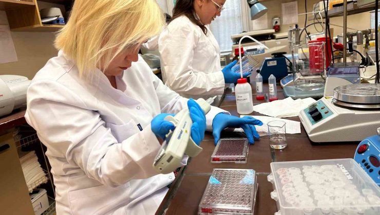 Kütahya’dan uluslararası projeye destek