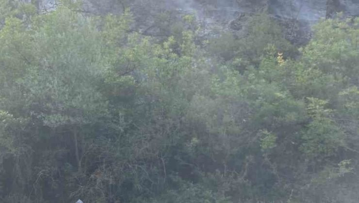 Osmaneli’de çıkan orman yangını büyümeden söndürüldü