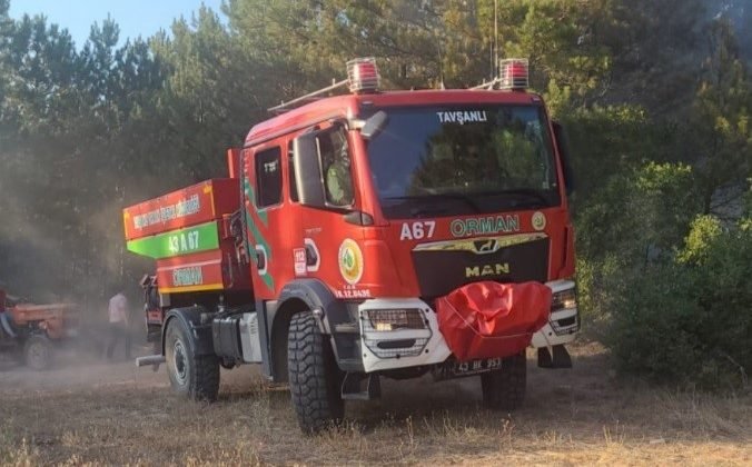 Tavşanlı ilçesinde orman yangını